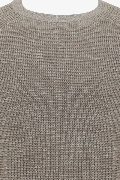 Cotton Roundneck | Bruin