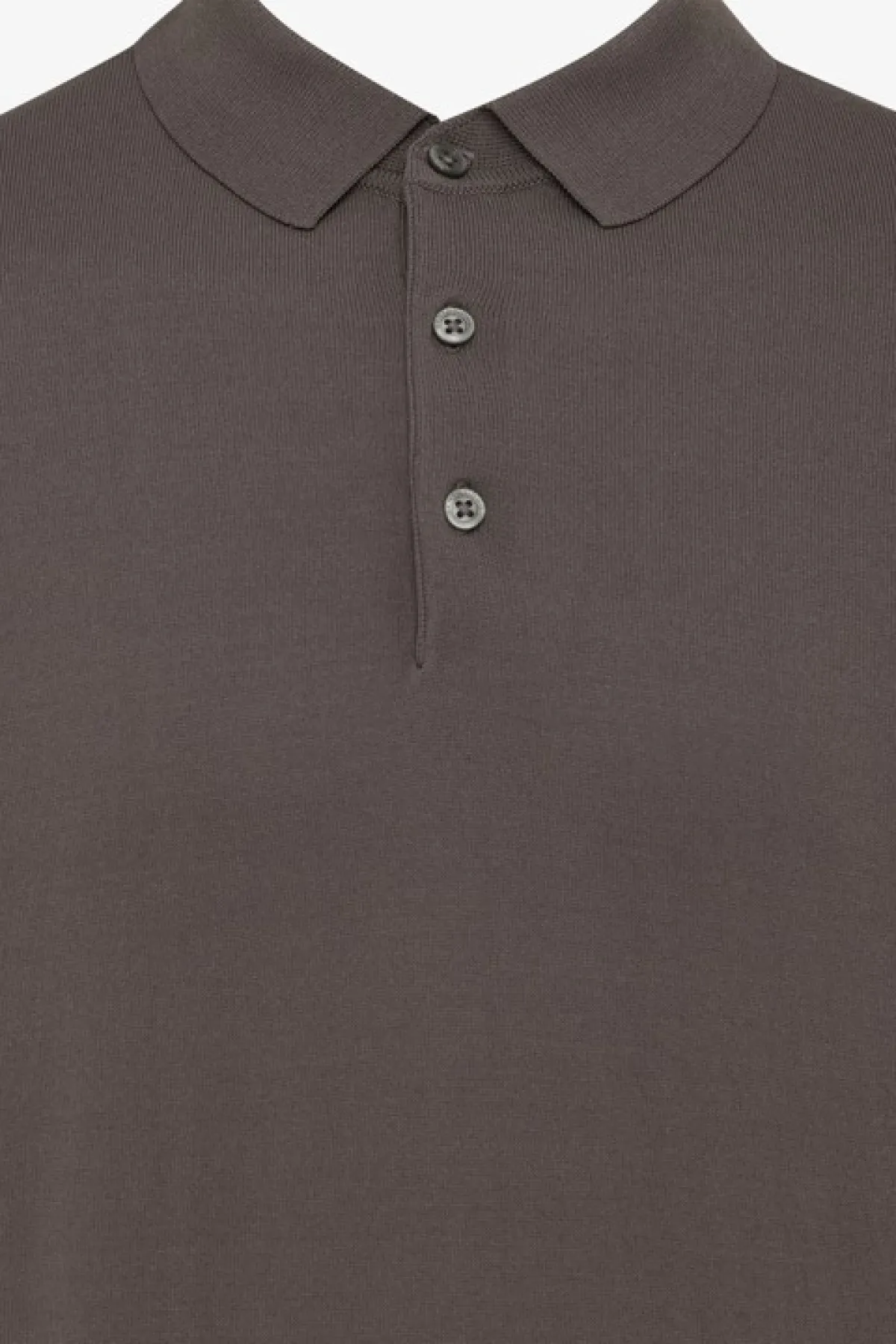 Polo | Bruin