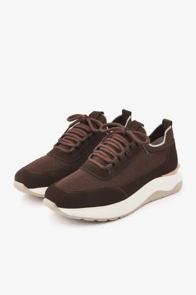 Sneakers Minotti | Donkerbruin