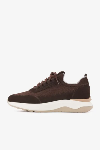 Sneakers Minotti | Donkerbruin
