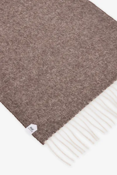 Cashmere Scarf | Bruin