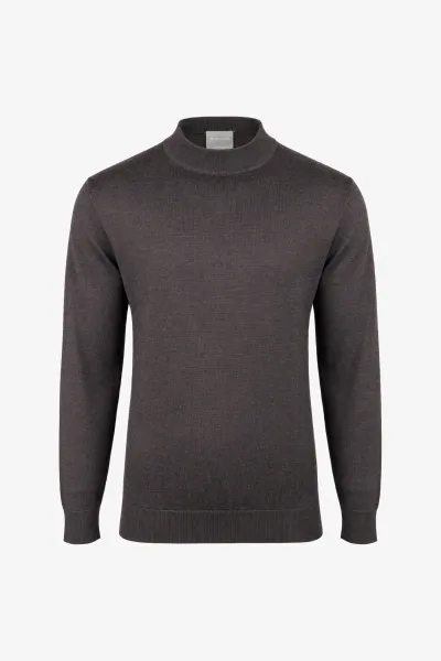 Turtleneck | Bruin